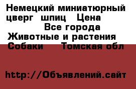 Немецкий миниатюрный(цверг) шпиц › Цена ­ 50 000 - Все города Животные и растения » Собаки   . Томская обл.